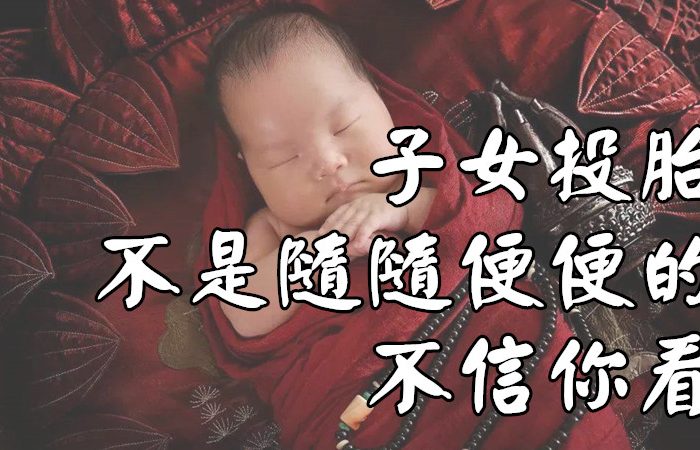 子女投胎不是隨隨便便的，不信你看