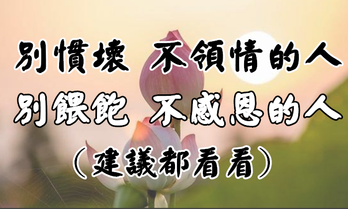 別慣壞，不領情的人；別餵飽，不感恩的心(建議都看看)